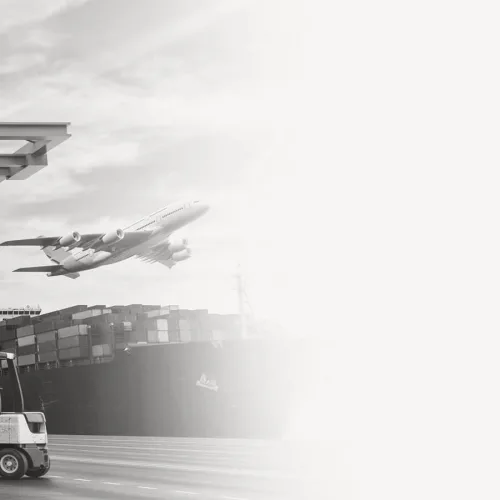 yeni test ilanımız Ana Görsel